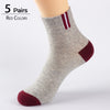 HSS Brand 2019 Newest Basic Cotton Men's Socks High Quality Hollow Breathable Summer Socks