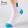 HSS Brand 2019 Newest Basic Cotton Men's Socks High Quality Hollow Breathable Summer Socks