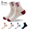 HSS Brand 2019 Newest Basic Cotton Men's Socks High Quality Hollow Breathable Summer Socks