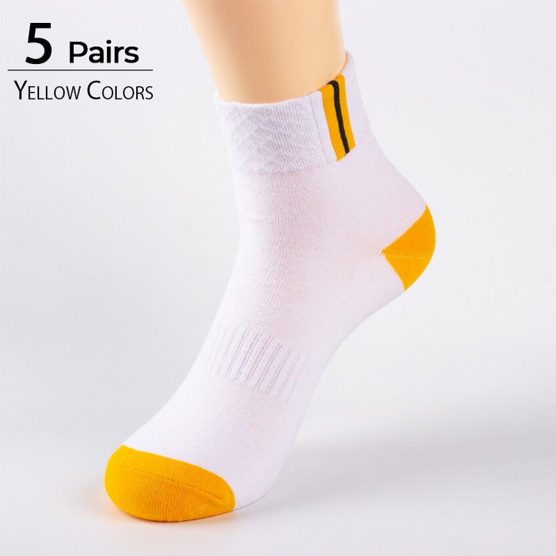 HSS Brand 2019 Newest Basic Cotton Men's Socks High Quality Hollow Breathable Summer Socks