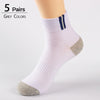 HSS Brand 2019 Newest Basic Cotton Men's Socks High Quality Hollow Breathable Summer Socks