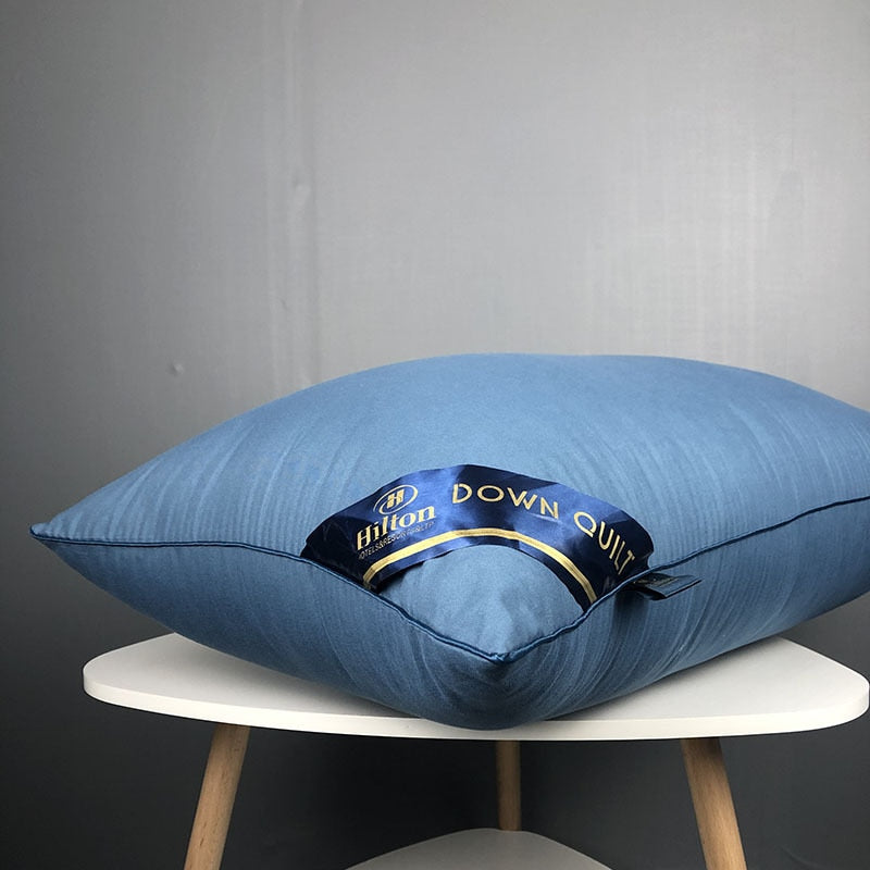 SB Pillow Chinese Natural Silk Single Pillow 100% Orthopedic Neck Pillows Hotel Cotton Pillow for Health Sleeping Home Use