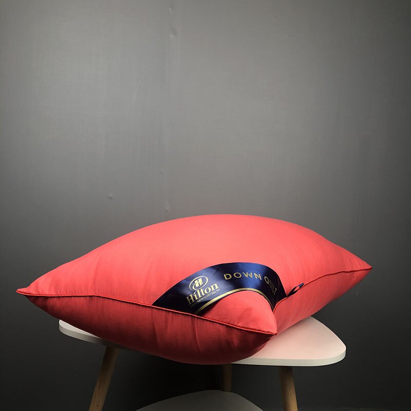 SB Pillow Chinese Natural Silk Single Pillow 100% Orthopedic Neck Pillows Hotel Cotton Pillow for Health Sleeping Home Use