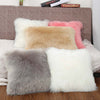 Luxury Series Style Faux Fur Throw Pillow cover Cushion Cover Sofa Pillowcase Bedroom Car Home Decorative Nordic 40x40cm