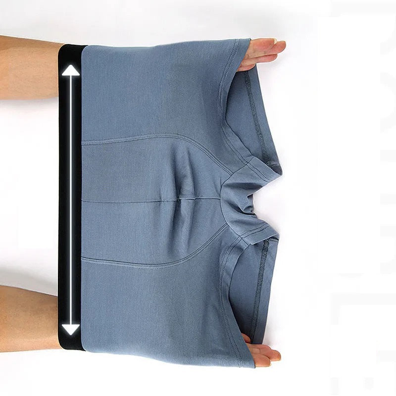2/4PCS /Lot Men'S Underwear High Quality Comfortable Breathable Antibacterial For Men Boxer Pants Mail Bag