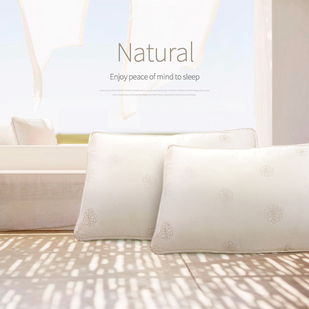 Pillow Chinese Natural 100% Silk Pillow 1.5kg/1.8kg/2.0kg Mulberry Memory White Pillow Health Sleeping Cotton Pillowcase Bedding