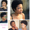 Afro Kinky Curly Wigs Short Cut Wig 100% Brazilian Curly Human Hair Wig For Black Women Full Machine Wigs Short Pixie Cut Wig