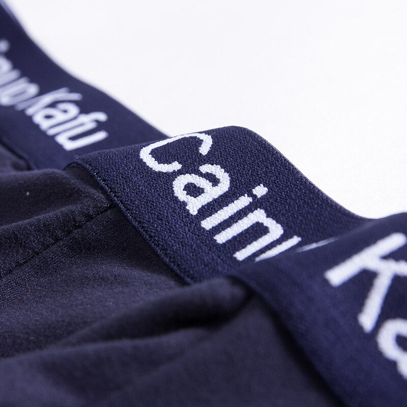 4pcs/Lot Men's Underwear Male New Arrival Modal Solid Briefs Underpants for Men Brief Men Sexy Slip Hombre Plus XXXXL-7XL