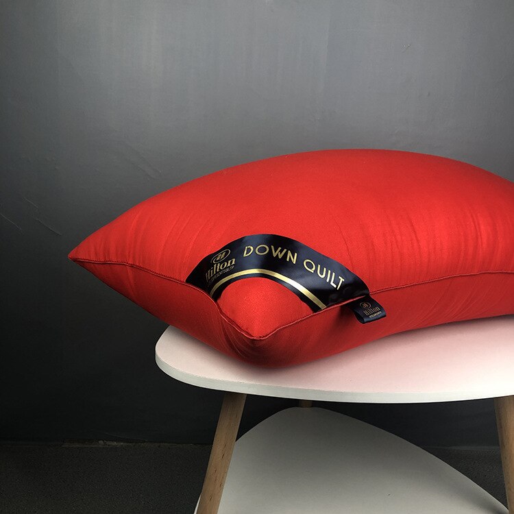 SB Five-Star Hotel Anti-Feather Down dedicated Pillow For bedroom Pillow core Protection Cervical Vertebrae Pillow Home use