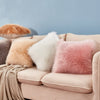 Luxury Series Style Faux Fur Throw Pillow cover Cushion Cover Sofa Pillowcase Bedroom Car Home Decorative Nordic 40x40cm