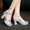 Fashion Bohemian Sandals Women Shoes Woman Comfortable Platform Leather Buckle Strap High Heels Sandals Plus Size Ladies Sandals