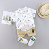 Baby boys clothes sets summer newborn cotton tops+shorts 2pcs tracksuits for bebe boys infant wedding clothing toddler outfits