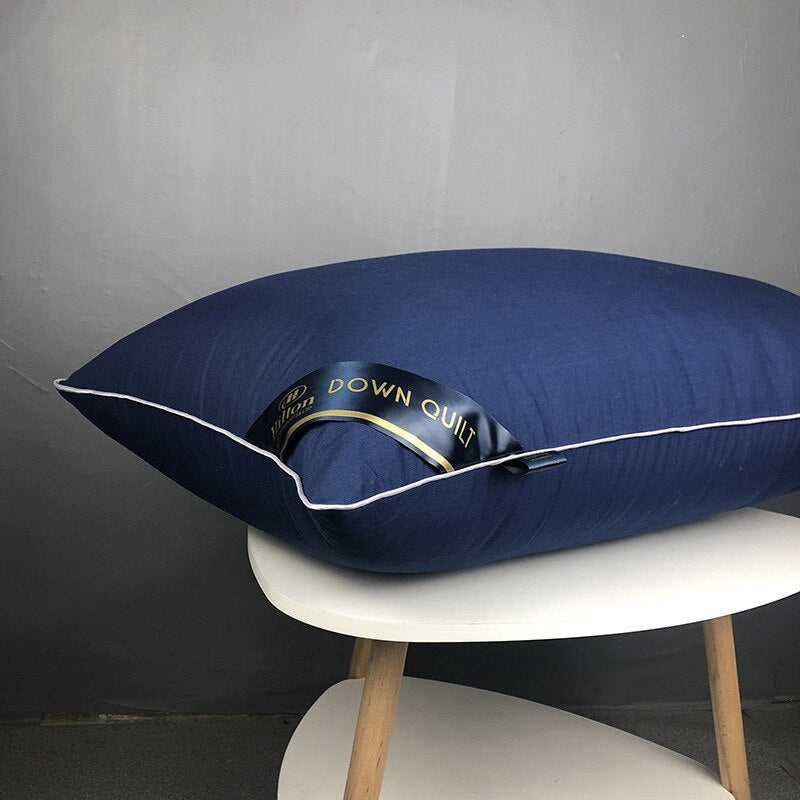 SB Pillow Chinese Natural Silk Single Pillow 100% Orthopedic Neck Pillows Hotel Cotton Pillow for Health Sleeping Home Use