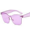 Candy Color Cat Eye Sunglasses Women Clear Lens Big Frame Shades Acetate Eyewear Ladies One Piece Rivet Sexy Sun Glasses Female