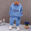 Spring Autumn Baby Boy Clothes Set Children Clothing Sets Sweater fabric Kids Clothes Baby Boys T-shirts+Pants 2PCS Tracksuit