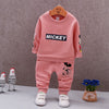 Spring Autumn Baby Boy Clothes Set Children Clothing Sets Sweater fabric Kids Clothes Baby Boys T-shirts+Pants 2PCS Tracksuit