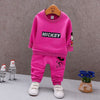 Spring Autumn Baby Boy Clothes Set Children Clothing Sets Sweater fabric Kids Clothes Baby Boys T-shirts+Pants 2PCS Tracksuit