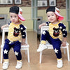 Spring Autumn Baby Boy Clothes Set Children Clothing Sets Sweater fabric Kids Clothes Baby Boys T-shirts+Pants 2PCS Tracksuit