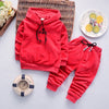 Spring Autumn Baby Boy Clothes Set Children Clothing Sets Sweater fabric Kids Clothes Baby Boys T-shirts+Pants 2PCS Tracksuit