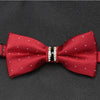 Men Luxurious Bowtie Groom Mens Striped Plaid Cravat Gravata Fashion Butterfly Wedding Bow Ties for Male Accessories Gifts Tie - Surprise store
