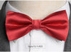 Mens Bowtie Fashion Necktie Man Shirt Accessories Gift Ties for Men Bow Tie Formal Dress Wedding Ties Corbatas Para Hombre - Surprise store