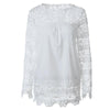 Spring and summer chiffon shirt women's casual long-sleeved hollow flower lace shirt shirt women - Surprise store