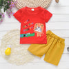 Summer Baby Boy Clothes Suits Gentleman Style Infant Clothing Sets T- Shirt+Shorts 2Pcs Casual Jogging Suit Toddler Outfits 2020