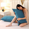 Hot Sale 48*74cm Thickened Feather Pillow Down Velvet Pillow Core Bedding Set Solid Color Pillow Inner Hotel Bedroom Home Decor