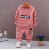 Spring Autumn Baby Boy Clothes Set Children Clothing Sets Sweater fabric Kids Clothes Baby Boys T-shirts+Pants 2PCS Tracksuit