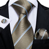 Classic Paisley Striped Plaid Men's Ties 8cm Silk Jucquard Business Wedding Neck Tie Handkerchief Set Cravat Ties Gifts DiBanGu