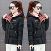 2021 New Winter Jacket Women Parkas Hooded Thick Down Cotton Padded Parka Female Jacket Short Coat Slim Warm Outwear P772