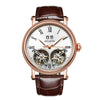 AILANG top brand Expensive Double Tourbillon Switzerland Watches AILANG Original Top Luxury Men's Automatic Man Mechanical watch